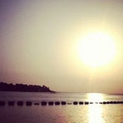 Moodi Sejini's photo