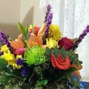 Donna McLaughlin's photo