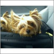 Kim Ray's photo