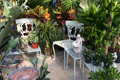 House Plants & Garden Sculpture