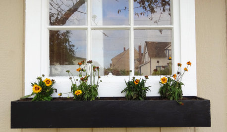 Build a Modern Window Planter Box