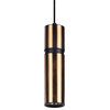 Avenue Lighting HF1076BBK Pendant Cicada Brass / Black