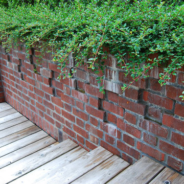 Outdoor Entertaining