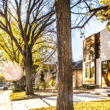 P+M House / Light + Interaction