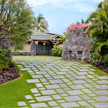 Driveway And Garage