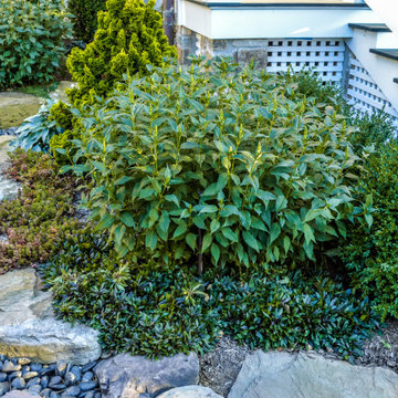 Award Winning- Pocket Garden