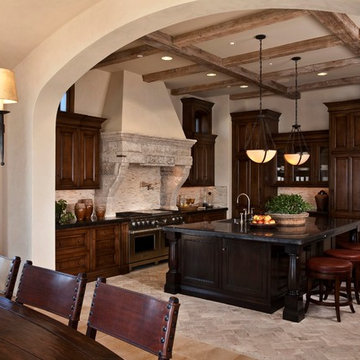 Dining room fireplace