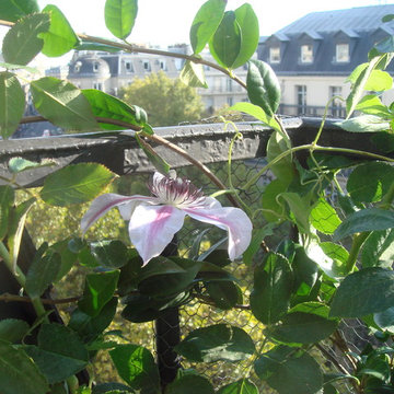 Un micro balcon à Paris Opéra...