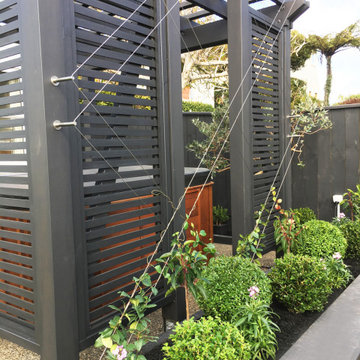 Kelburn patio 2