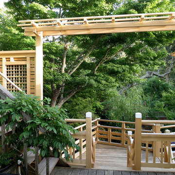 Deck and Wisteria Pergola