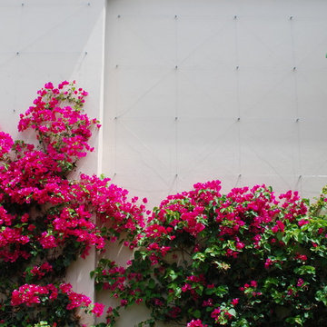 Rood Landscape Projects