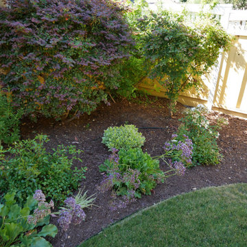 Los Gatos Cottage
