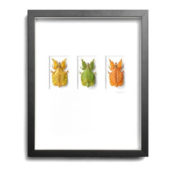 Wall Art - Products