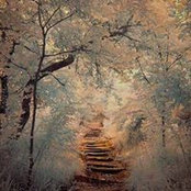 Debra Hollopeter's photo