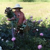Elisabeth Marshall's photo
