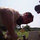 mike_byrne56