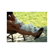 Dianna Ruddy's photo