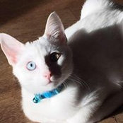 Vicki Stetson's photo