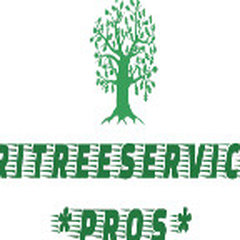 RI Tree Service Pros