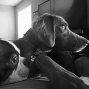 Danielle Wendell's photo