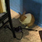 Melanie Doby's photo