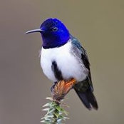 Laura Sinanan's photo