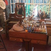 Donatella Caliandro's photo
