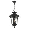 Textured Black Traditional, Victorian, Sculptural, Outdoor Pendant Lantern