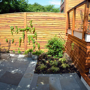 Capitol Hill Garden