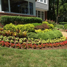 Lanscaping Ideas