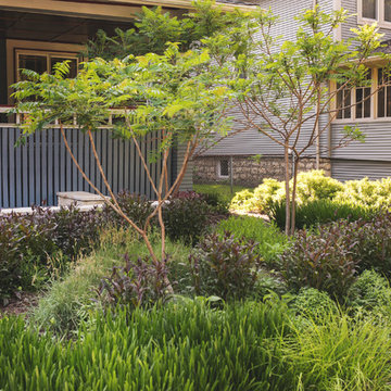 Landscape Design