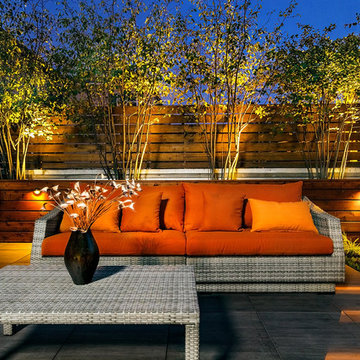 Chicago Wicker Park Mixed Material Rooftop