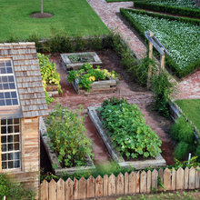Exterior Ideas