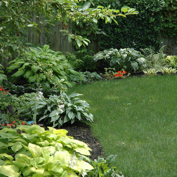 Shady border