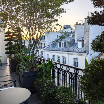 Terrasse et Balcon Parisienne