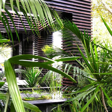 Tropical Garden
