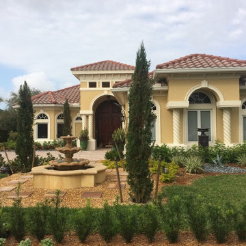 Front Yard Landscape