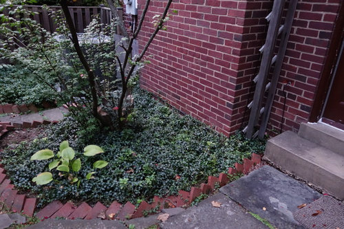 Regrading Placing Soil Against Brick Wall Thanks