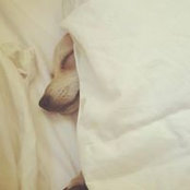 Kelli Lock Lynnes's photo