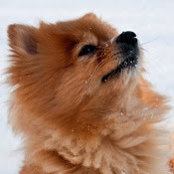 Marija Antich's photo
