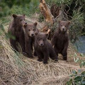 Sherry Nevius's photo