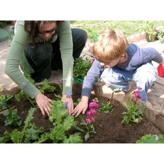 Little Saplings Children's gardening