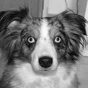 Paddy Jay's photo