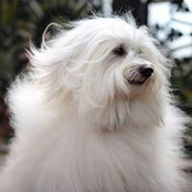 Wanda Anderson's photo