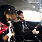 Marty Calabrese's photo