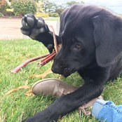 Lindsy Beaudin's photo