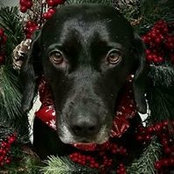 Miranda Bailey's photo