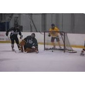 Seamus Stamp's photo