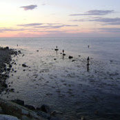 Mary Kate McCaughey's photo