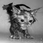 Abby Bielski's photo